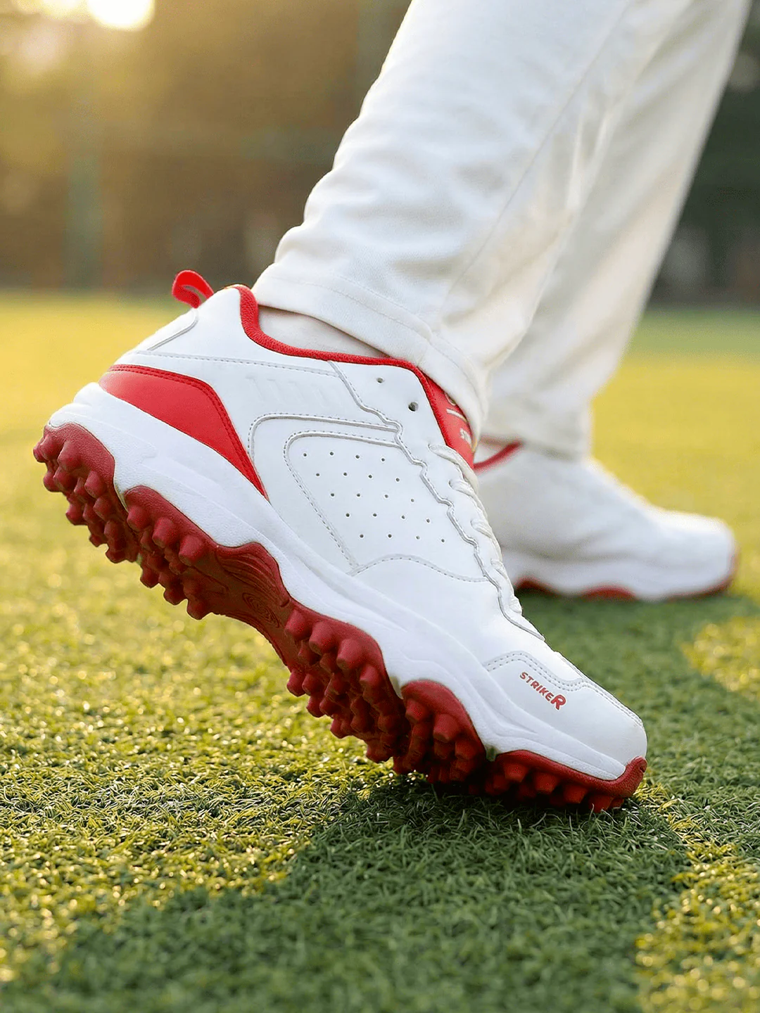 STRIKER - Image 5